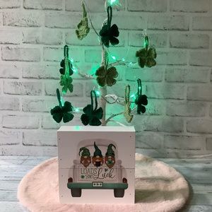St Patrick’s Day Wood Loads Of Luck Gnome Sign